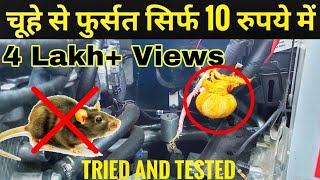 How To Keep RATS and RODENTS away From Your Car  In Just 10 Rs [upl. by Laerdna]