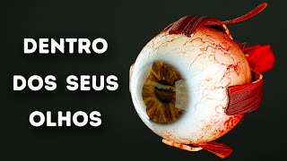 O Que Acontece Dentro Dos Seus Olhos [upl. by Mihcaoj]