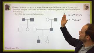 Biologie van Tim  Stambomen [upl. by Hovey]