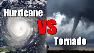 Hurricane vs Tornado Whats the difference [upl. by Hourihan697]