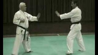 Self Defence Demo Karate ShitoRyu [upl. by Nylesor]