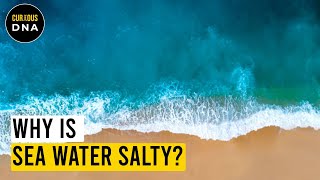 Why there is salt in the ocean [upl. by Oirretno]