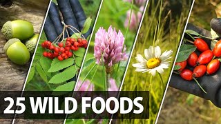 25 Edible Plants Berries and Trees for Wilderness Survival [upl. by Poulter]