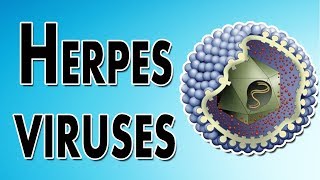 Herpes Symptoms Treatment and Causes [upl. by Ardnasella]