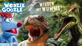 ALLES über DINOS l WOOZLE GOOZLE [upl. by Vladimar875]