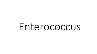 Enterococcus  Microbiology [upl. by Nnylhtak190]