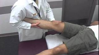 Medial Collateral Ligament Stability Test [upl. by Eahsal]