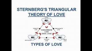 Sternbergs Triangular Theory of Love and its types  The Simplest Explanation Ever [upl. by Eened]