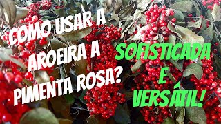 AROEIRA PIMENTA ROSA DICAS DE COMO USAR [upl. by Bannerman294]