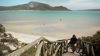 The Diverse South African Coastline  National Geographic [upl. by Andria]