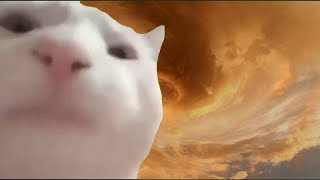 Cat Vibing to Darude  Sandstorm [upl. by Courtenay320]