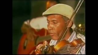 the best violinist on Cape Verde [upl. by Eveam729]