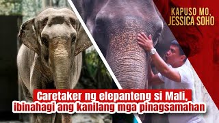 Caretaker ng elepanteng si Mali ibinahagi ang kanilang mga pinagsamahan  Kapuso Mo Jessica Soho [upl. by Rosenbaum]