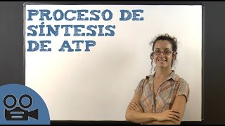 Proceso de síntesis de ATP [upl. by Agn]