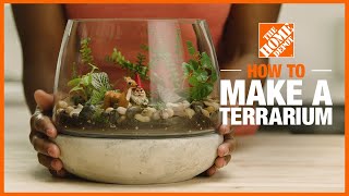 How to Make a Terrarium  The Home Depot [upl. by Grewitz]