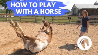 HOW TO PLAY WITH A HORSE [upl. by Nirak]