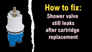 Delta Shower Valve RP19804 Leaks after Cartridge Replacement  Cut Bonnet Nut [upl. by March]