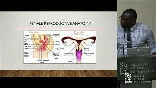 The Clinical Anatomy of Dyspareunia  Yusuf O Alimi MD [upl. by Lux]