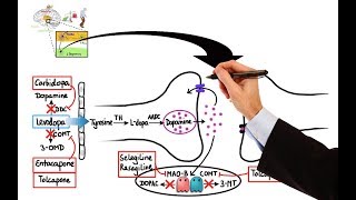 Pharmacology  DRUGS FOR PARKINSONS DISEASE MADE EASY [upl. by Duky]