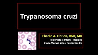 Trypanosoma cruzi [upl. by Areemas]