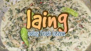 LAING RECIPE USING FRESH LEAVESLUTONG PINOY [upl. by Feilak872]