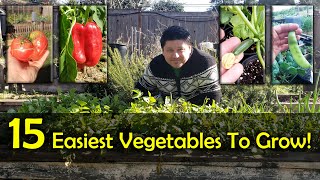 The 15 Easiest Vegetables To Grow For Beginners [upl. by Luhar776]