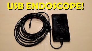 USB Endoscope  Abask 5m Product Review [upl. by Eng]