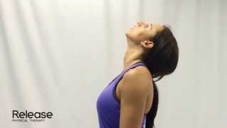 Cervical Spine Retraction amp Extension  McKenzie Exercise for Neck [upl. by Ennaoj]