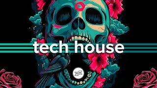 Tech House Mix  August 2019 HumanMusic [upl. by Eilahtan]