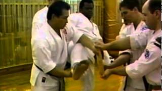 A Visual History of Seido Karate Chapter 10  Special Programs [upl. by Nicolai370]