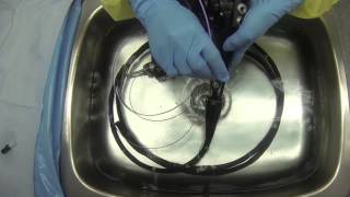 Flexible Endoscope Reprocessing  Manual Cleaning [upl. by Jovitta238]