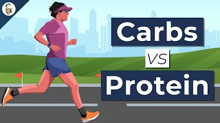 Carbs vs Protein For Endurance  Which Is Better [upl. by Malissa30]