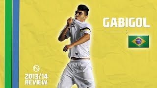 GABRIEL GABIGOL BARBOSA  Goals Skills Assists  Santos  20132014 HD [upl. by Granlund]