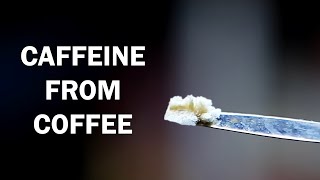 Extracting caffeine from coffee [upl. by Ociral]