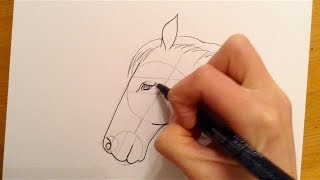 Beginners Lesson  How To Draw A Horse [upl. by Dalohcin]