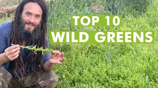 10 Wild Edible Greens to Harvest Foraging Plants [upl. by Sigismundo]