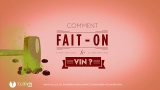 Comment faiton le vin   toutlevincom [upl. by Onilatac]