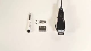 WAHL How To Replace a 2 Hole Clipper Blade [upl. by Laundes26]