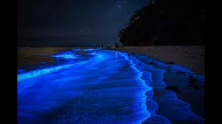 Jervis Bay After Dark [upl. by Roman642]