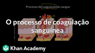 O processo de coagulação sanguínea [upl. by Hnahk718]