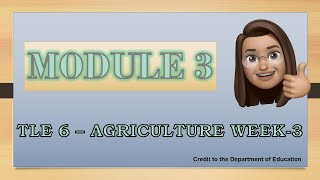 MODULE 3 in TLE6 │AGRICULTURE WEEK3 [upl. by Ynnij954]