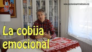 La cobija emocional dinámica sobre cuidado y expresión de sentimientos [upl. by Enaed655]