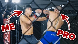 I Trained To Become An MMA Fighter In 4 Months [upl. by Nylesor997]