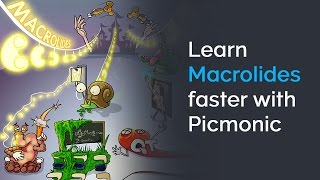 Learn Macrolides Faster with Picmonic NCLEX® Nursing School [upl. by Bever]