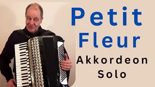 Petite Fleur  played by Theo Degler Accordion [upl. by Analak]