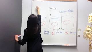 Tonicity Hypertonic Hypotonic and Isotonic Solutions [upl. by Ramsa559]