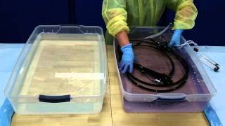 Flexible Endoscope Reprocessing  Disinfection [upl. by Gilmore]