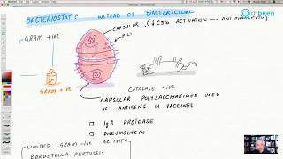 Macrolides  Azithromycin [upl. by Wan]