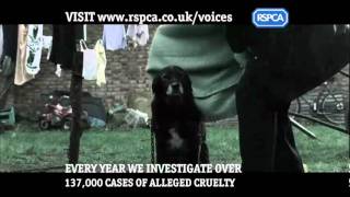 RSPCA Campaigns  Voices [upl. by Annauj106]