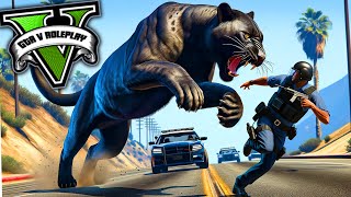 LE LION NOIR ATTAQUE LA POLICE  GTA 5 RP [upl. by Fablan]